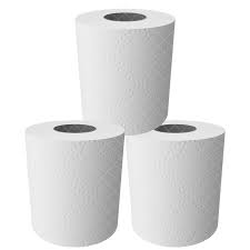 Toilet Paper 24’S T/World 350Sht 2Ply Value Recy