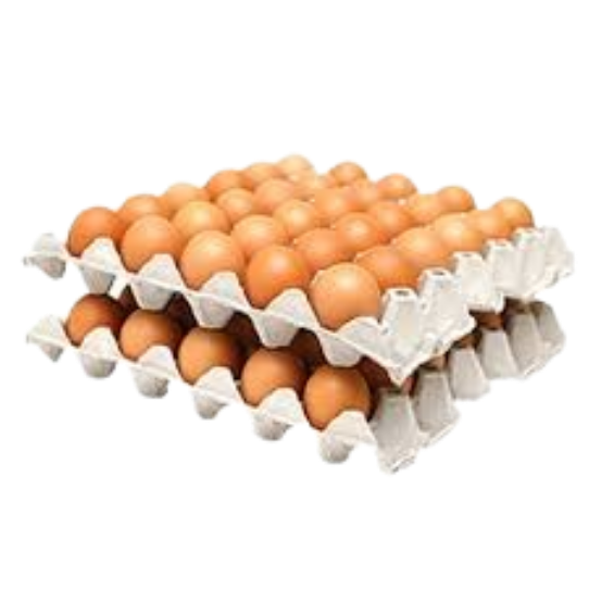 Shiraz Eggs 5 Doz Large